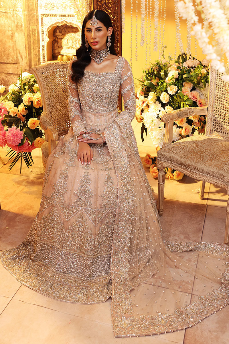 Manha-Designer Handworked Peach Net Bridal Gown - Main Image