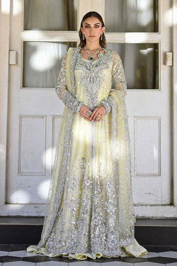 Light yellow Pakistani bridal ensemble with net jacket, sheesha silk kalidaar, 3D organza embellishments, and Swarovski-studded net dupatta – ideal for North American brides.