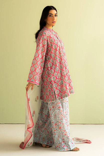 Amaya- 10B Pakistani Summer Lawn Outfit '25 By- Zara Shahjahan