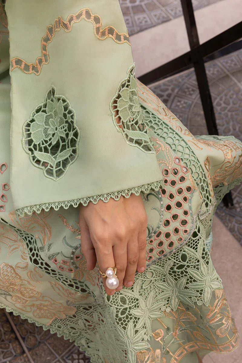 Areha- Carnation Luxury Festive Edit '25 Ensemble By- Rang Rasiya