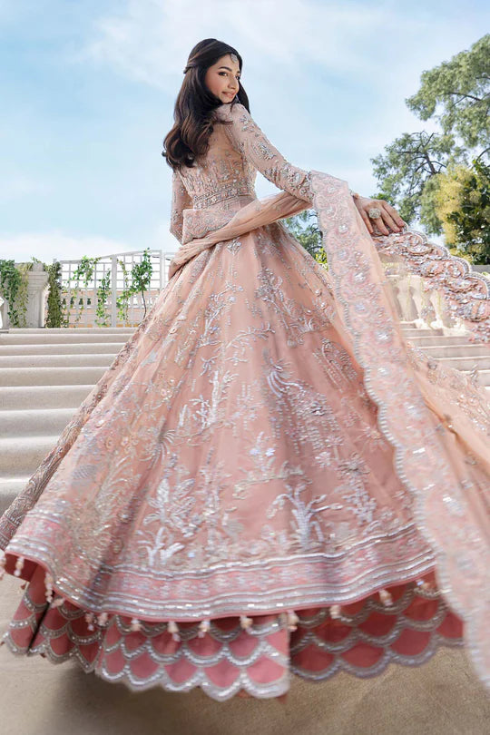 Maria B Arlene Royal-Rawa Powder Pink Bridal Gown with 3D florals, pearls & ombré lehenga stitched for weddings – Pakistanimoda