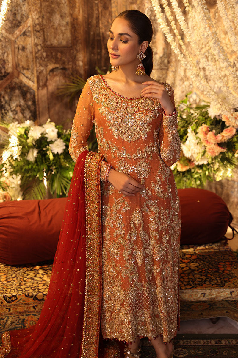 Aveeza-Rust Bridal Outfit with handworked Detailing and Pants