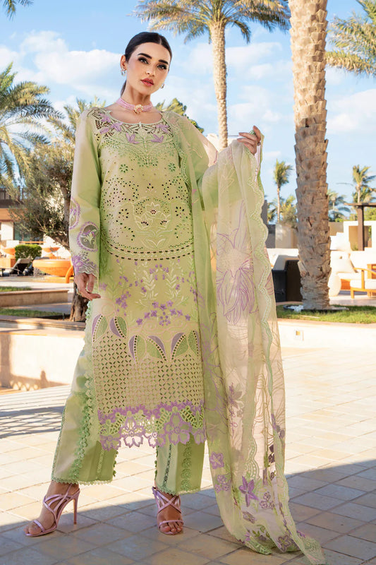 Ayleen- Pakistani Premium Lawn Suit '25 By- Rang Rasiya