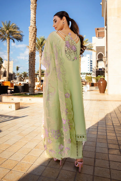 Ayleen- Pakistani Premium Lawn Suit '25 By- Rang Rasiya