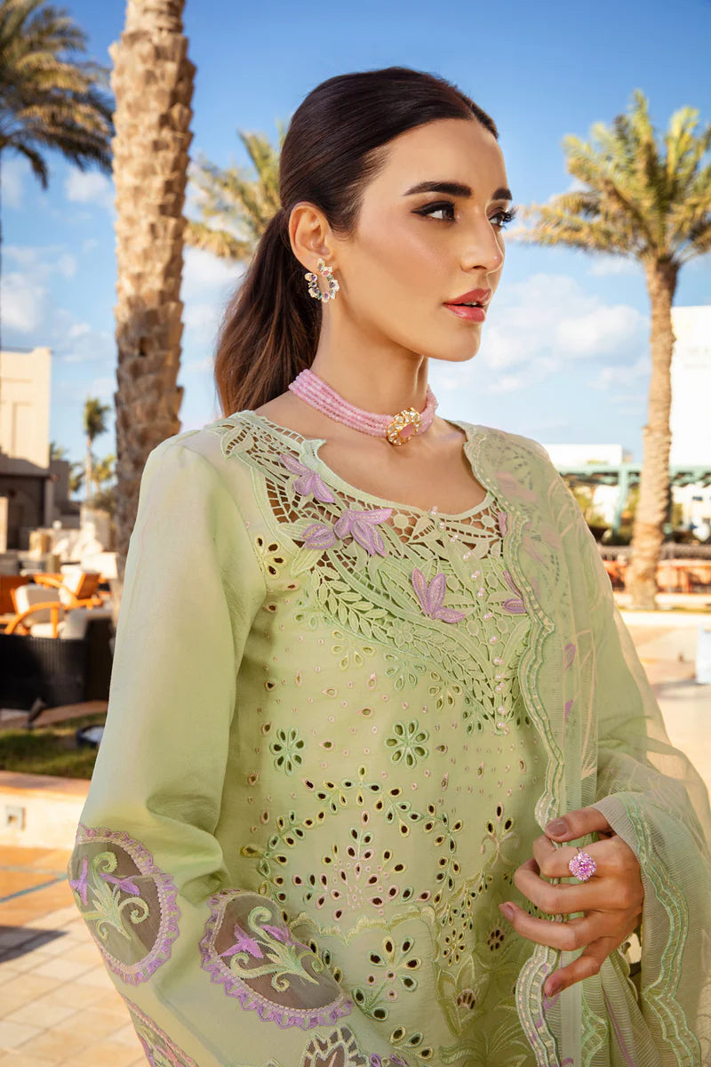 Ayleen- Pakistani Premium Lawn Suit '25 By- Rang Rasiya