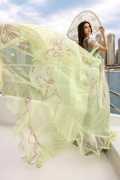 Ayleen- Pakistani Premium Lawn Suit '25 By- Rang Rasiya