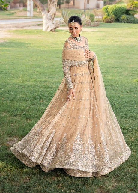 Blush  Ensemble - Beautiful Pishwas with Lehenga