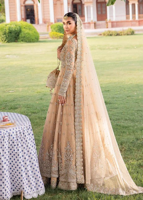 Blush  Ensemble - Beautiful Pishwas with Lehenga