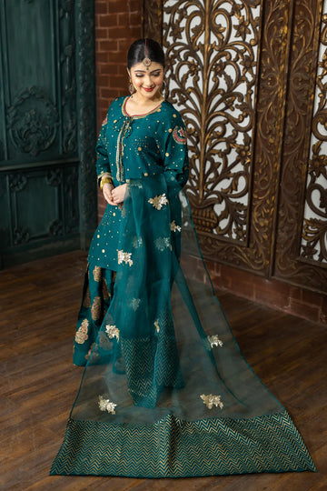 Pakistani Shalwar Suit with Organza Dupatta