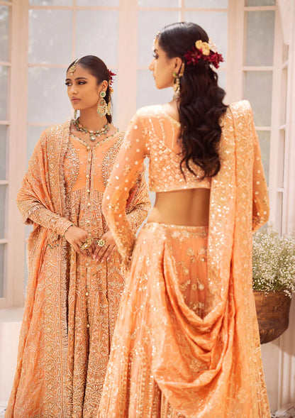 Coral Dream - Pakistani Wedding Formal Wear By AIK