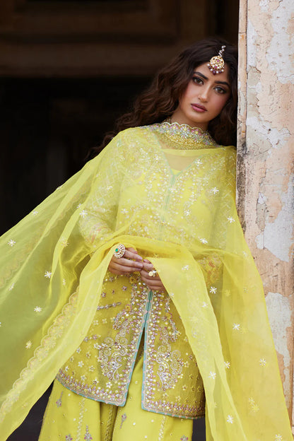 Shadmani Luxury Formals-Qalamkar-DANIA SH-05