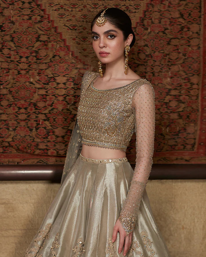 Delal-Embroidered Tissue Lehnga with Choli-By-Faiza Saqlain