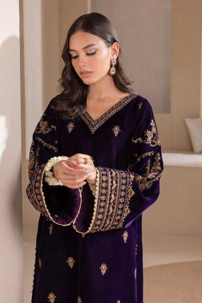 Embroidered velvet outfit with organza borders for women