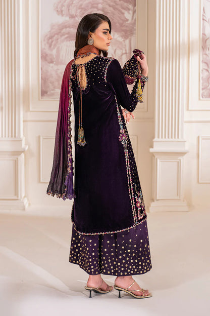 Luxury velvet ensemble with embroidered silk dupatta