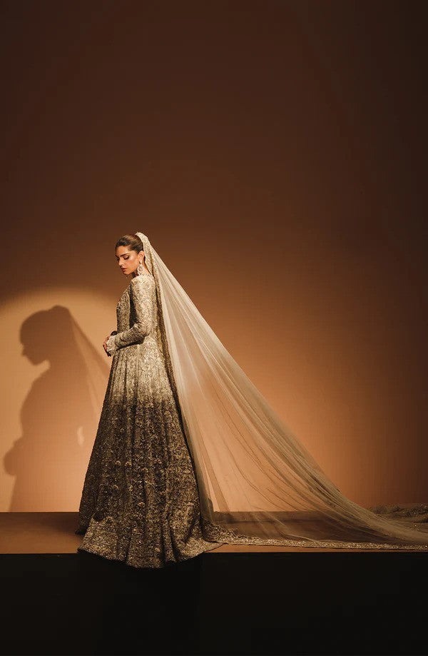 Elegant Bridal wear Gown with a Net Veil