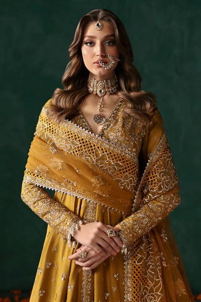 Jahanbano-DIVANI THE SILK EDIT'25-BY-Afrozeh