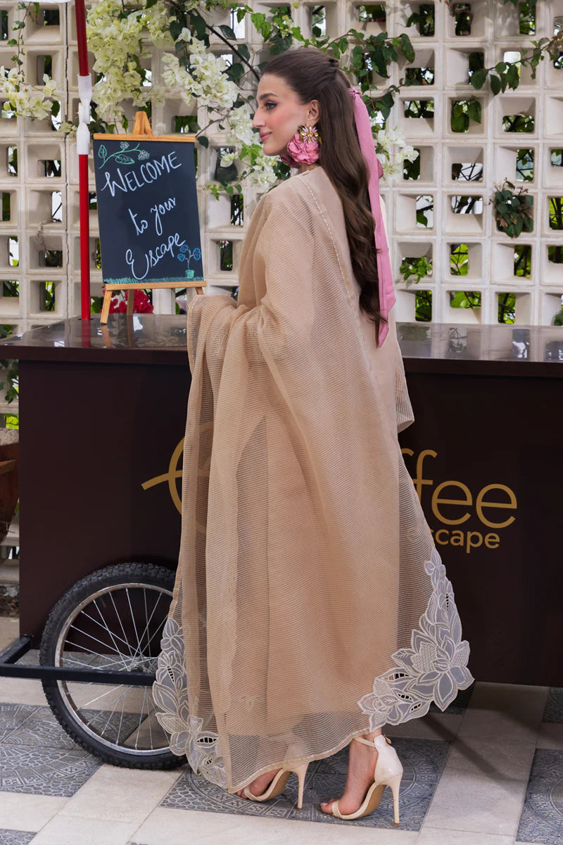 Kaia- Carnation Luxury Festive Edit '25 Ensemble By- Rang Rasiya