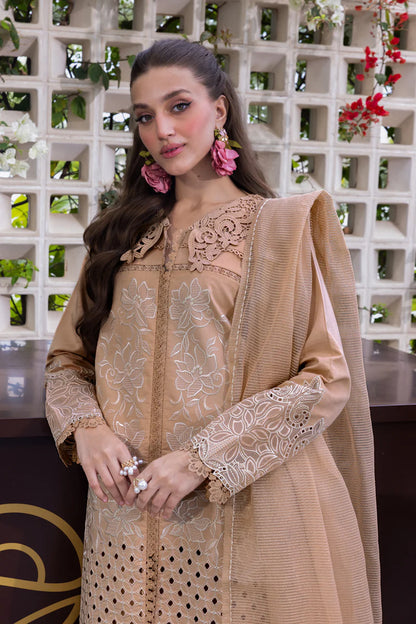 Kaia- Carnation Luxury Festive Edit '25 Ensemble By- Rang Rasiya