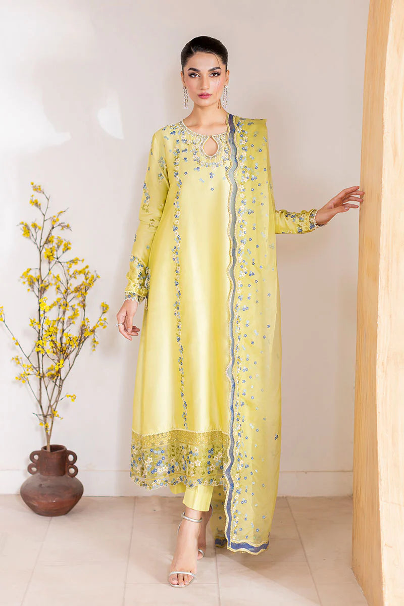 Pakistani lime sheesha silk shirt with pearl and sequin work – Lumière