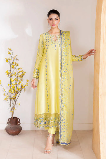 Pakistani lime sheesha silk shirt with pearl and sequin work – Lumière