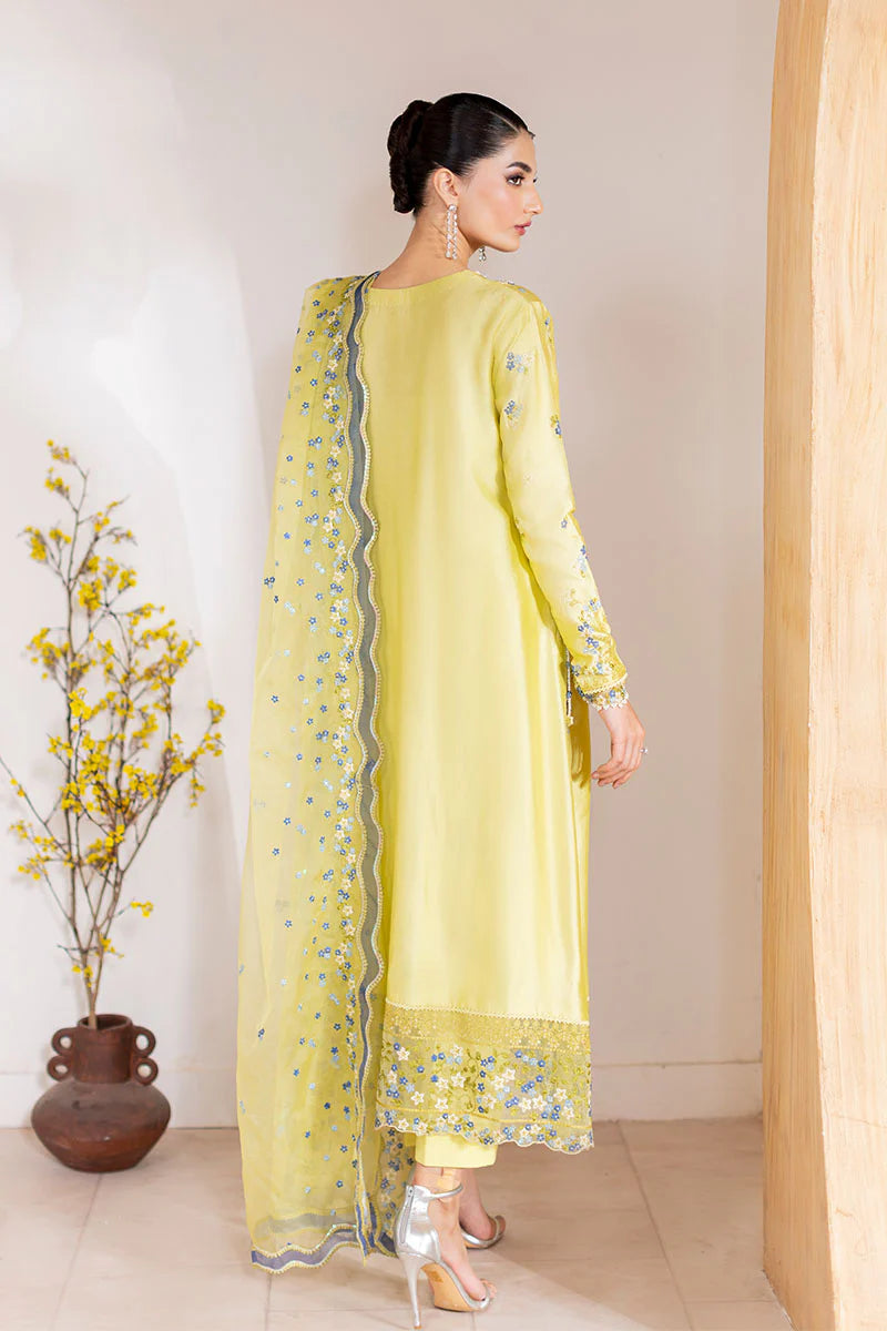 Pakistani lime sheesha silk shirt with pearl and sequin work – Lumière