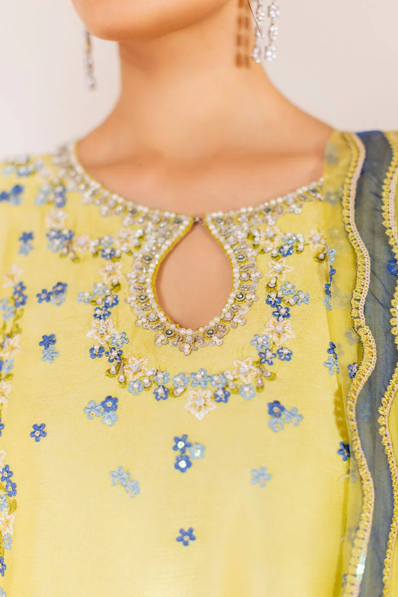 Pakistani lime sheesha silk shirt with pearl and sequin work – Lumière