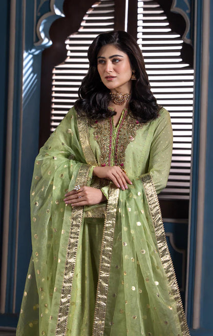 Lustre- Modern Yet Timeless Chiffon Ensemble for Special Occasions By-Maya Pret-A-Porter