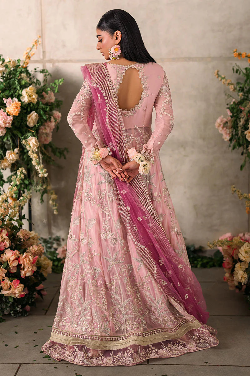 Maisha- Stitched/Unstitched Designer Suit By Mushq