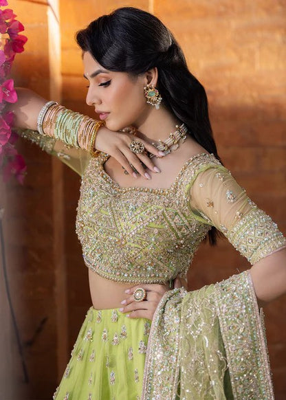 Meadow Bliss - Green Lehenga Choli By Kanwal Malik