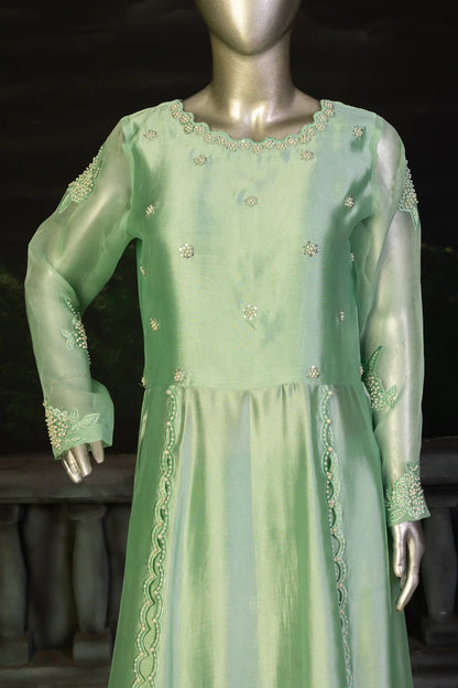 Mint Green- Trendy Pastel Anarkali Outfit for Festive Wear