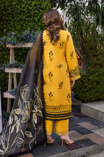 Mirha- Florence Summer Edit '25 Outfit By- Rang Rasiya