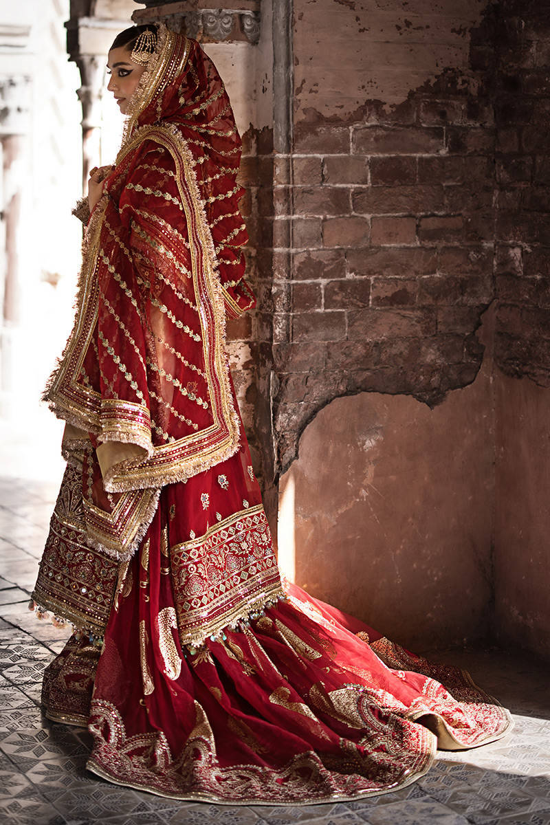 Mohsin Naveed Ranjha - BIYA BEGUM Stitched Festive Vol. IV