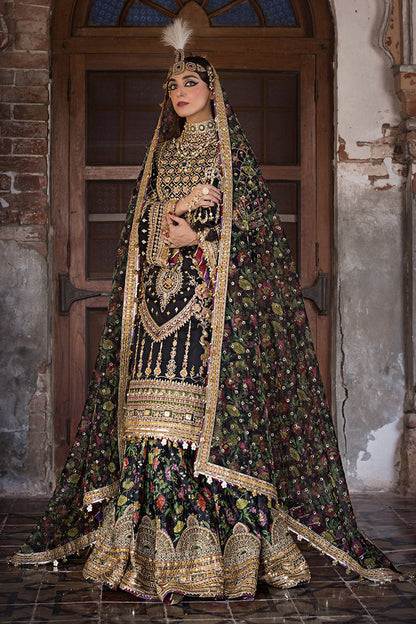 Mohsin Naveed Ranjha - KOYAL Stitched Festive Vol. IV