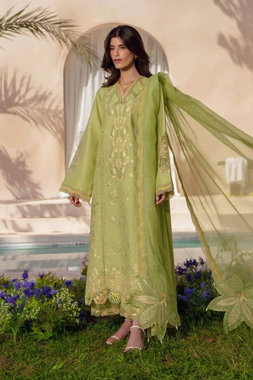 Nadine mint stitched lawn embroidered 3PC suit with dupatta Eid wear Rang Rasiya
