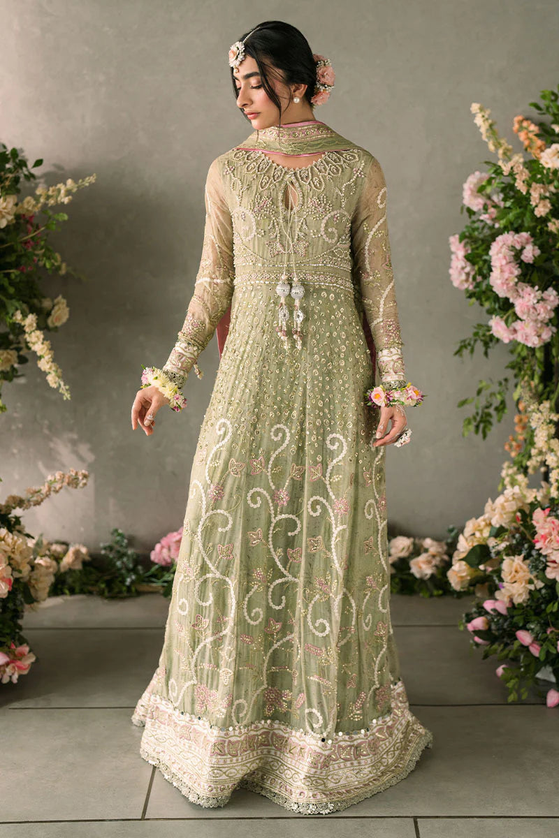 Namar - Stitched/Unstitched Designer Suit By Mushq