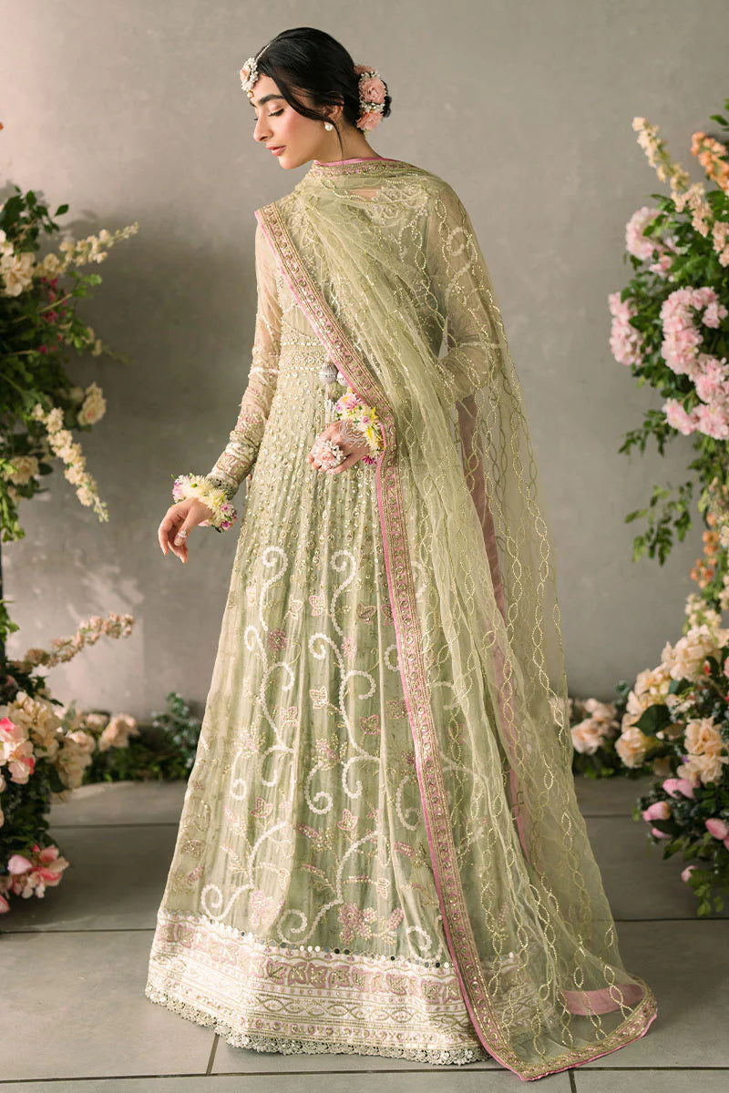 Namar - Stitched/Unstitched Designer Suit By Mushq