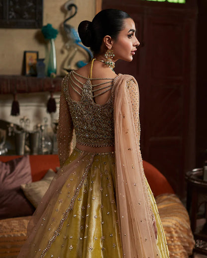 Nehal-Embellished choli with Lehenga-By-Faiza Saqlain