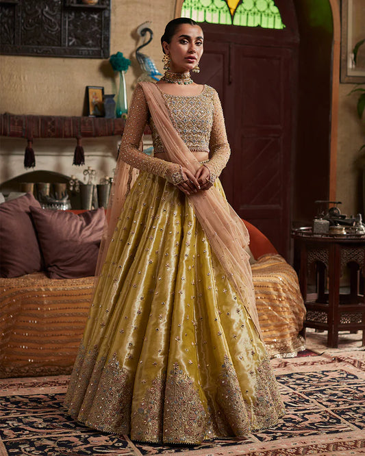 Nehal-Embellished choli with Lehenga-By-Faiza Saqlain