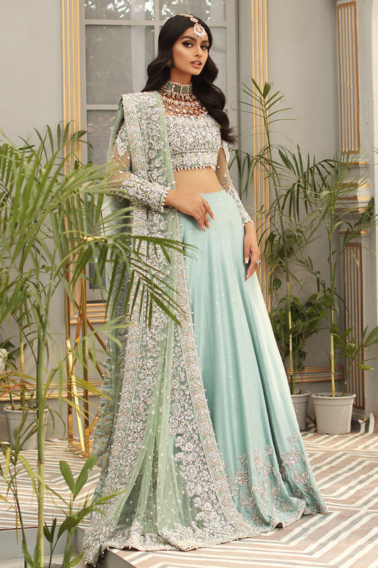 Neva-Aqua Net Blouse with Raw Silk Lehenga for Bridal Look