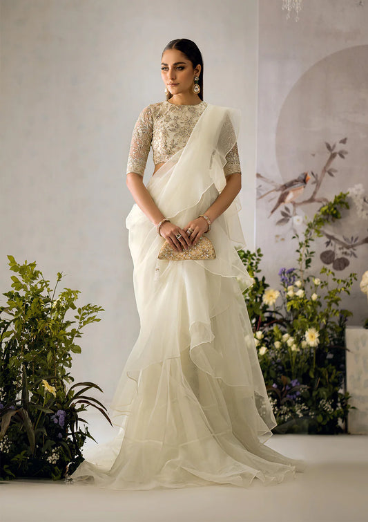 Off White Net Organza Saree By AIK