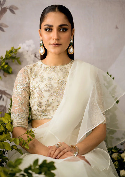 Off White Net Organza Saree By AIK