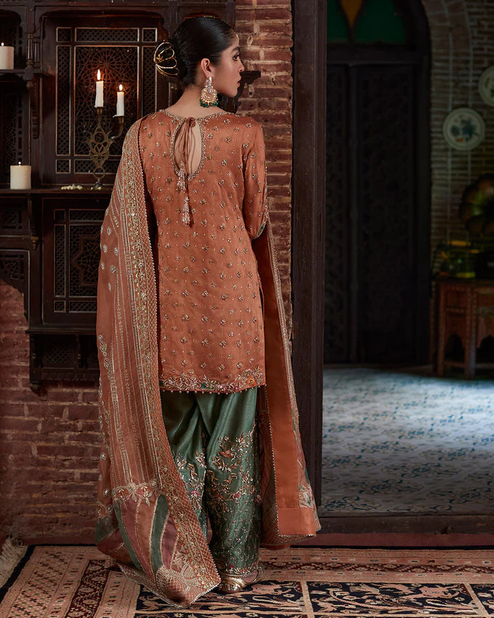 Pelin-Embellished Shirt with Shalwar-By-Faiza Saqlain