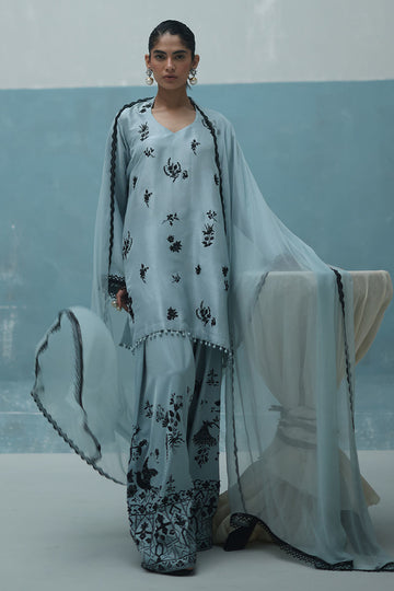 Powder blue embellished raw silk kurta with crepe farshi shalwar and chiffon dupatta – Pakistani formal wear for women in USA, UK, Canada.