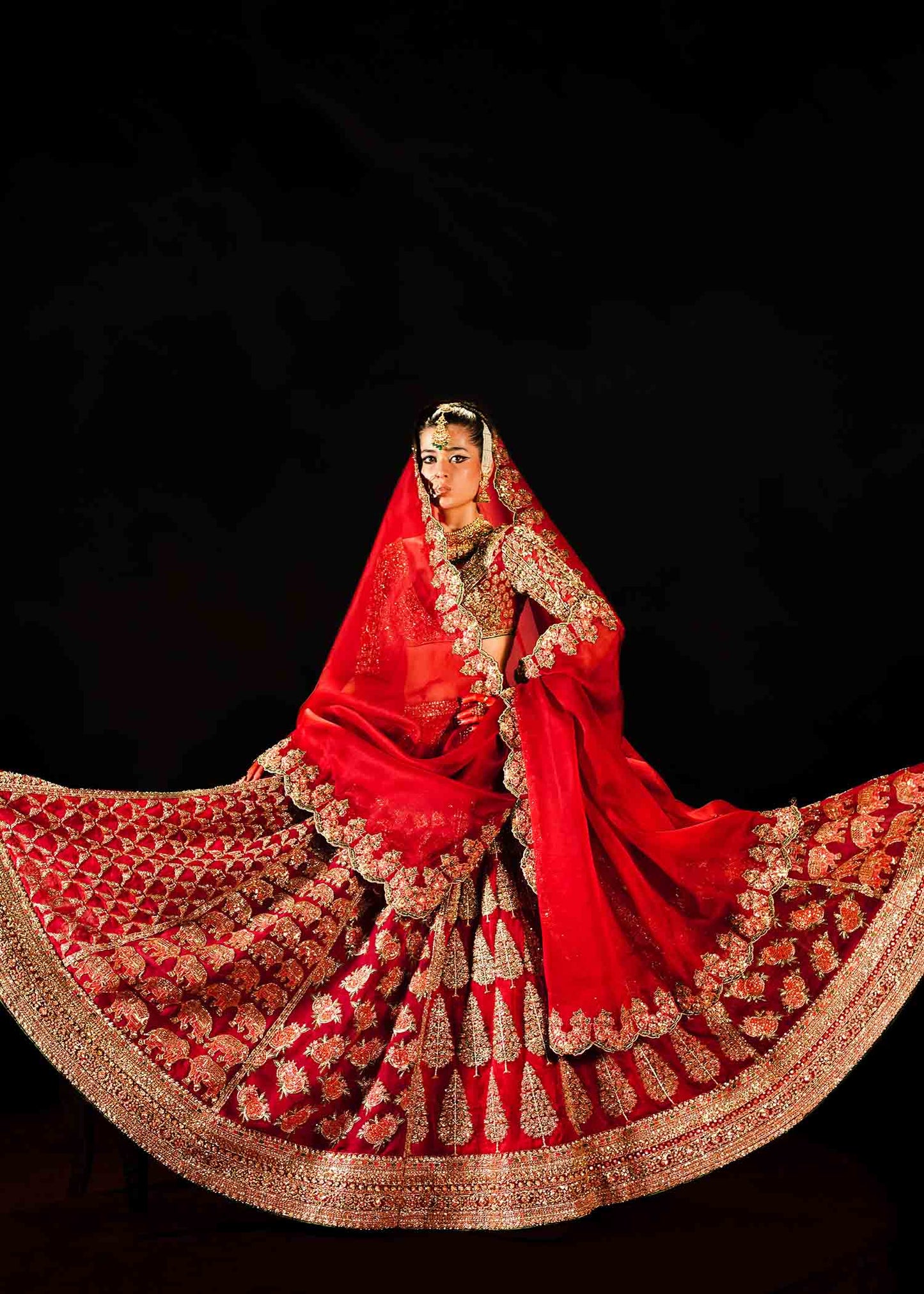 Raaqs- Pakistani Red pure Organza Lehenga Choli ensemble