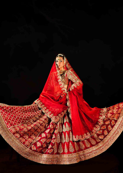 Raaqs- Pakistani Red pure Organza Lehenga Choli ensemble