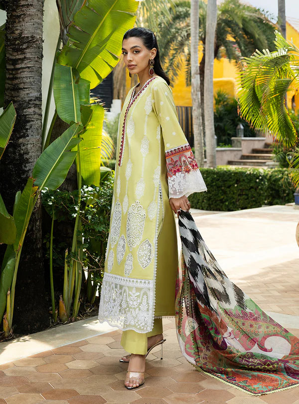 Rayne-12A Chikankari Lawn Outfit '25 By- Zainab Chottani