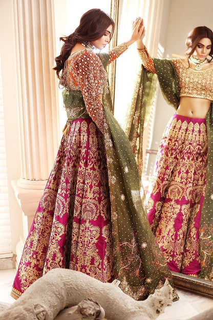 Roma-Luxury Pakistani Wedding dress