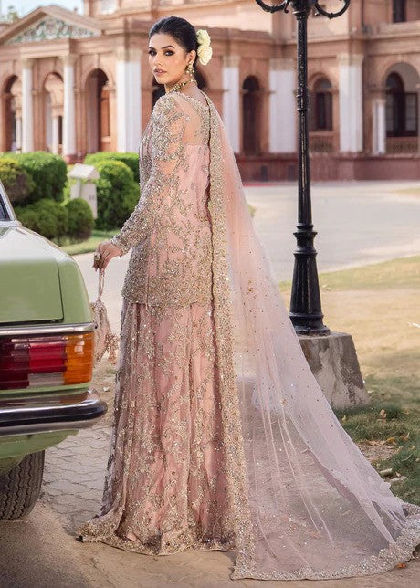 Rosy - Beautiful Pink Sharara Dress
