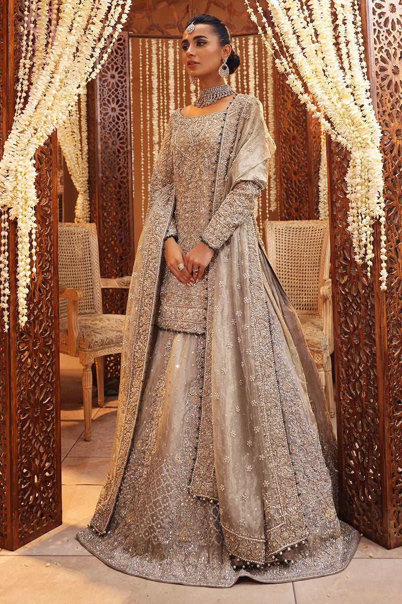 Ruhi-Monochromatic Silver Tissue Bridal Ensemble