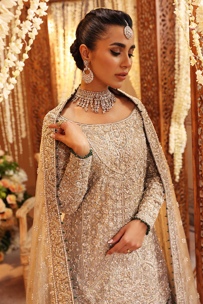 Ruhi-Monochromatic Silver Tissue Bridal Ensemble